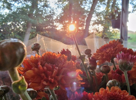 Bloemen uit Corle