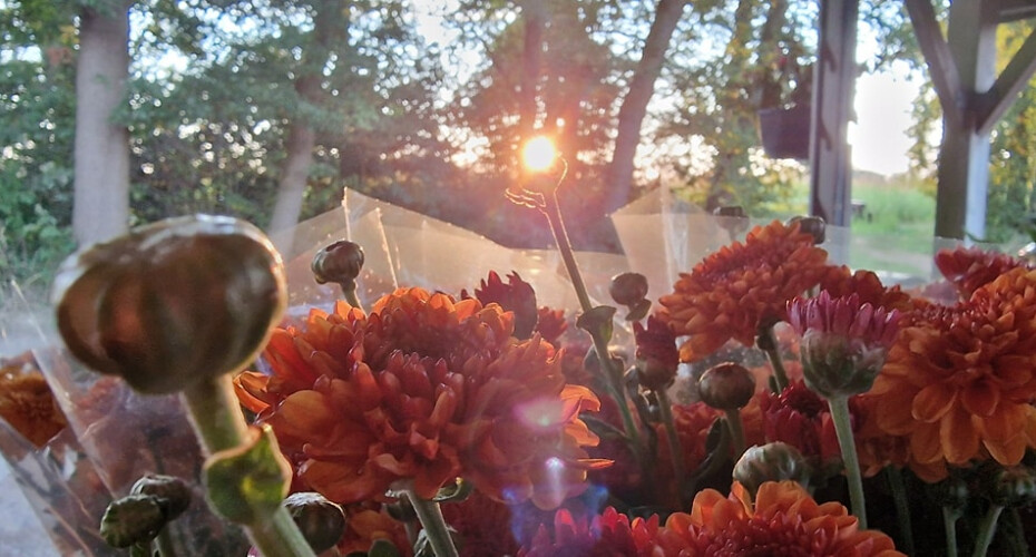 Bloemen uit Corle