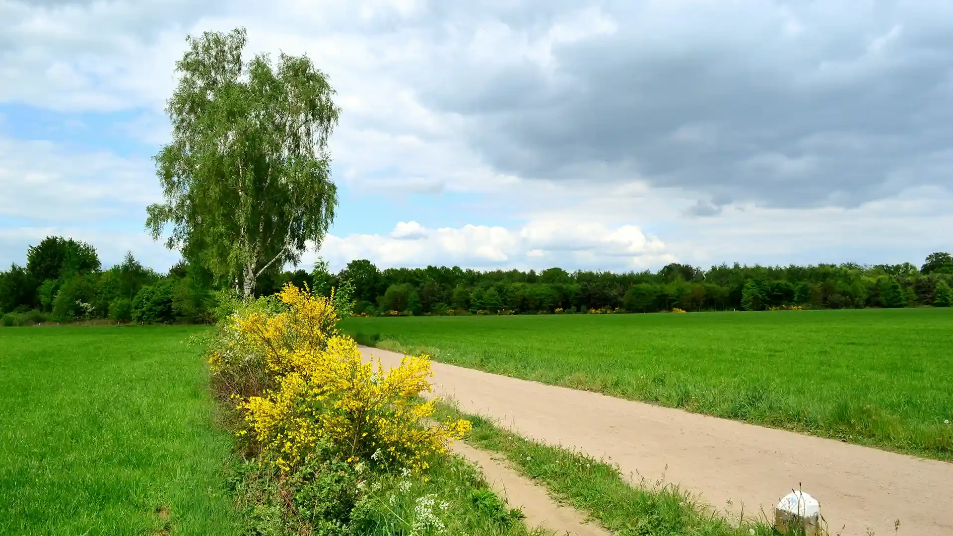 <i>Uw plek</i> in de Achterhoek, precies zoals u wilt