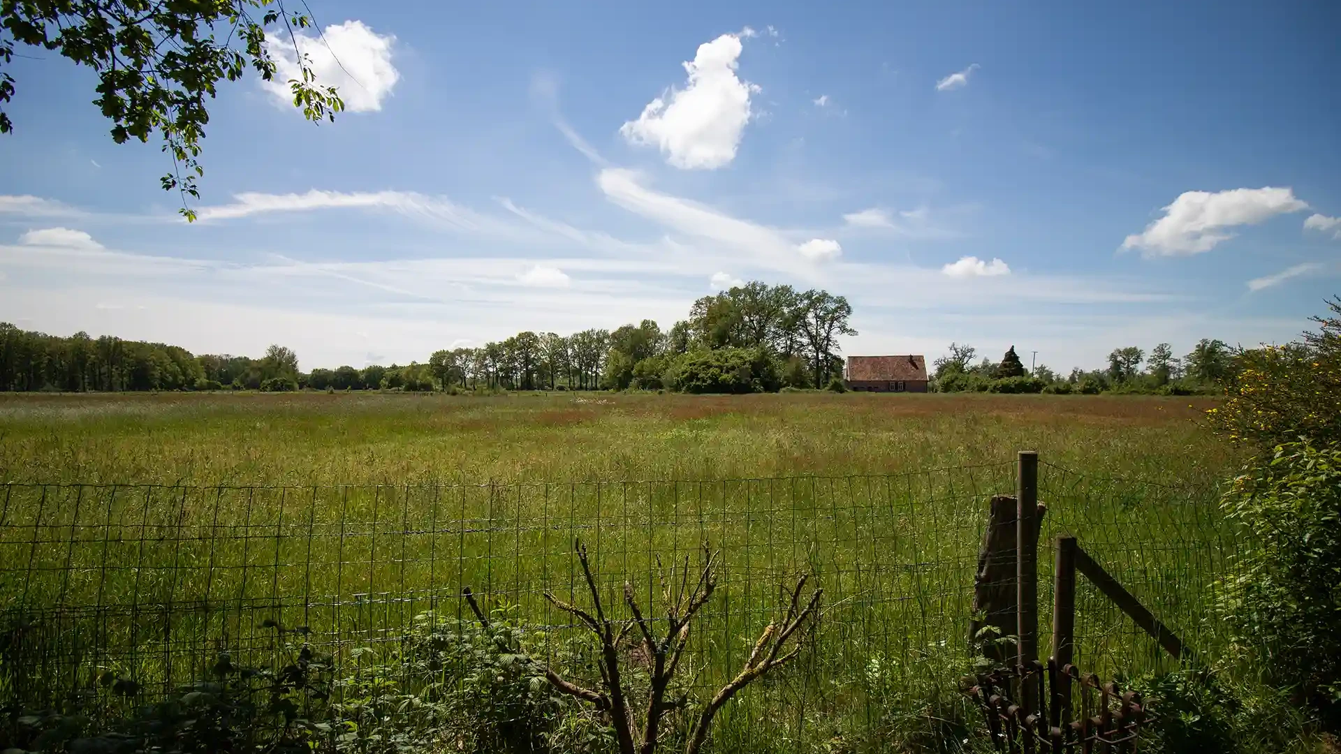 Neem gerust <i>contact</i> met ons op.