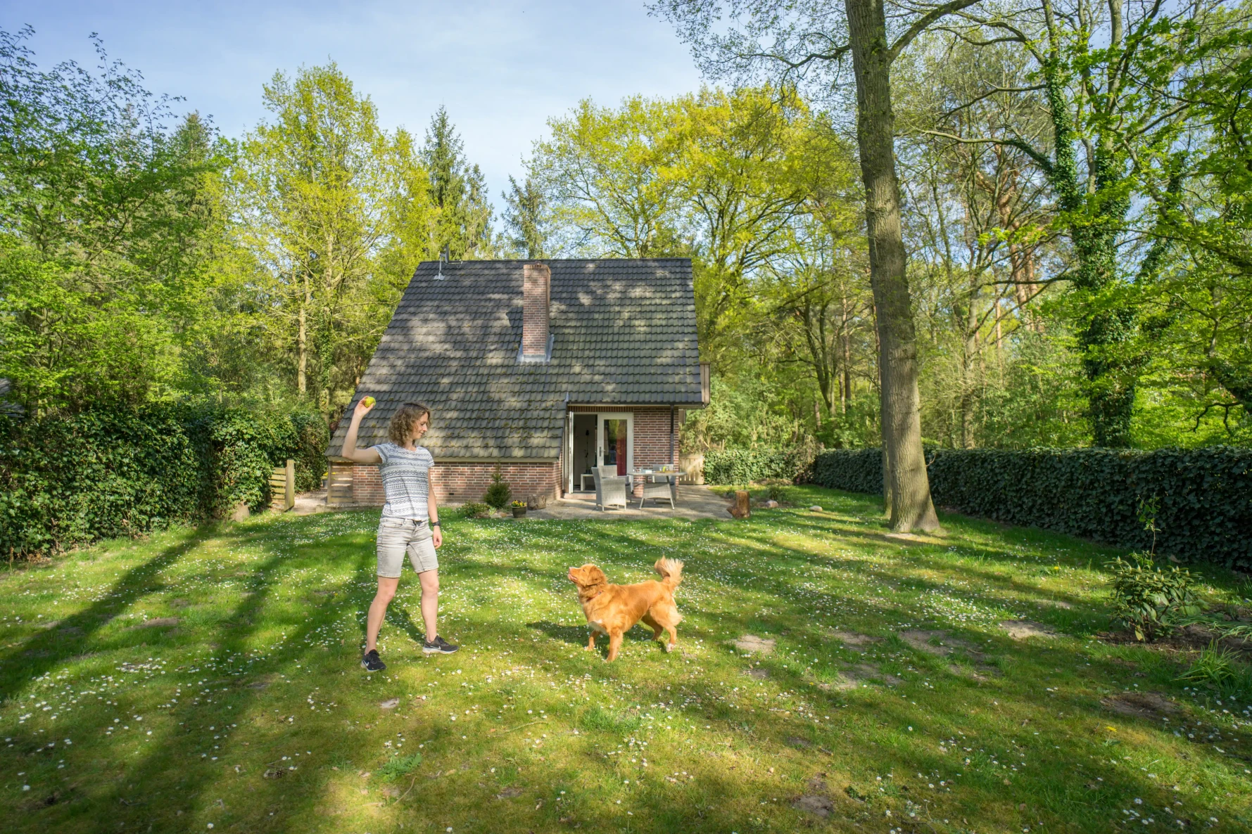 Stoverink – vrijstaand stoverink voor 6 personen, met mindervalide, omheinde tuin, prachtige ligging, privacy met omheinde tuin, midden in de bosrijke natuur.