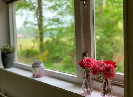 Kooiveld - De Tortel