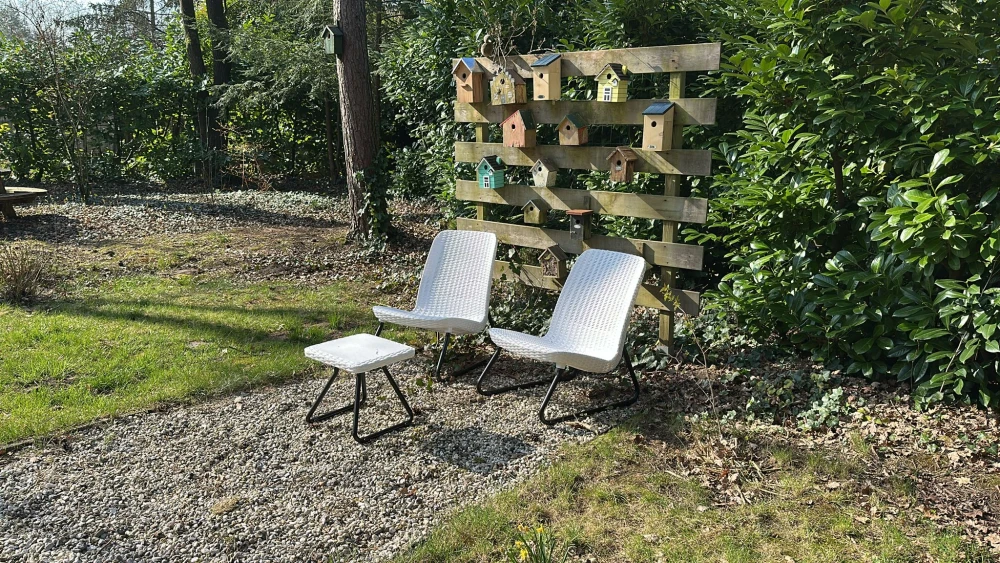 Tuin van Libelle – terras met zitplekken in een ruime bostuin met omheinde tuin, midden in de bosrijke natuur.