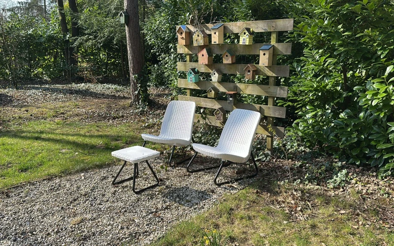 Tuin van Libelle – terras met zitplekken in een ruime bostuin met omheinde tuin, midden in de bosrijke natuur.