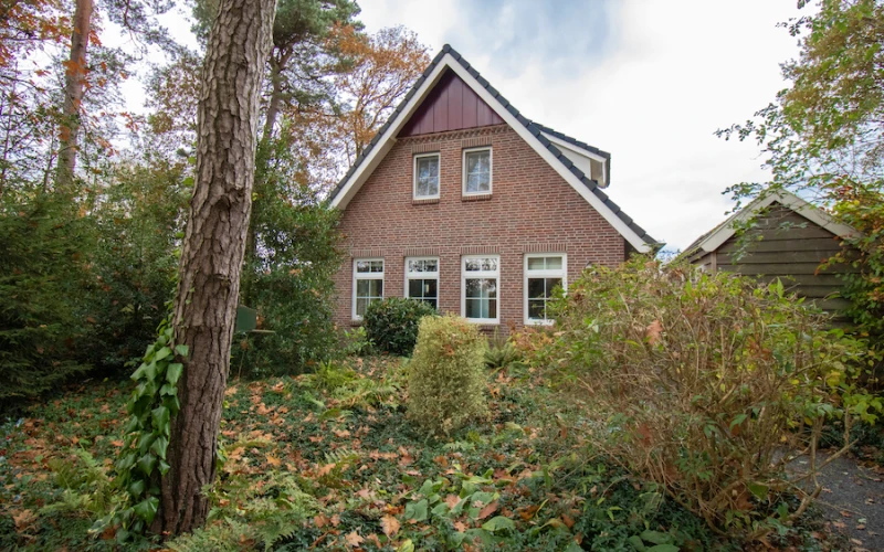 Aurora – vrijstaand aurora voor 5 personen, met houtkachel, prachtige ligging, privacy, midden in de bosrijke natuur.