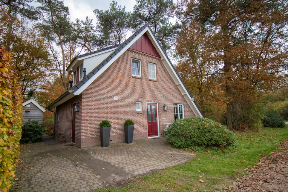 Tuin van Aurora – terras met zitplekken in een ruime bostuin, midden in de bosrijke natuur.