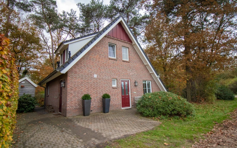 Tuin van Aurora – terras met zitplekken in een ruime bostuin, midden in de bosrijke natuur.