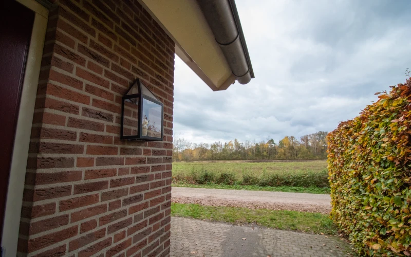 Tuin van Aurora – terras met zitplekken in een ruime bostuin, midden in de bosrijke natuur.