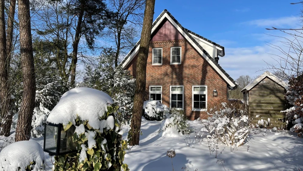 Tuin van Aurora – terras met zitplekken in een ruime bostuin, midden in de bosrijke natuur.