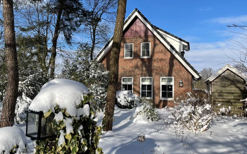 Tuin van Aurora – terras met zitplekken in een ruime bostuin, midden in de bosrijke natuur.