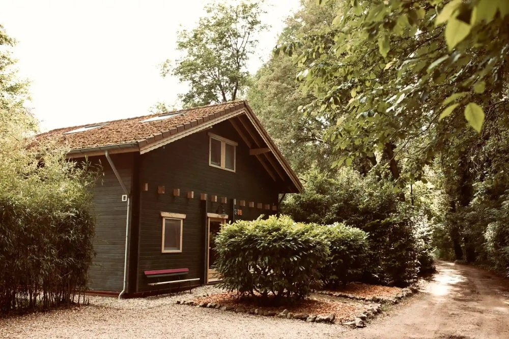 Bosschhuis – ruime bostuin met veel privacy, perfect omringd door groen en rust. Ideaal voor een ontspannen verblijf in de Achterhoek.