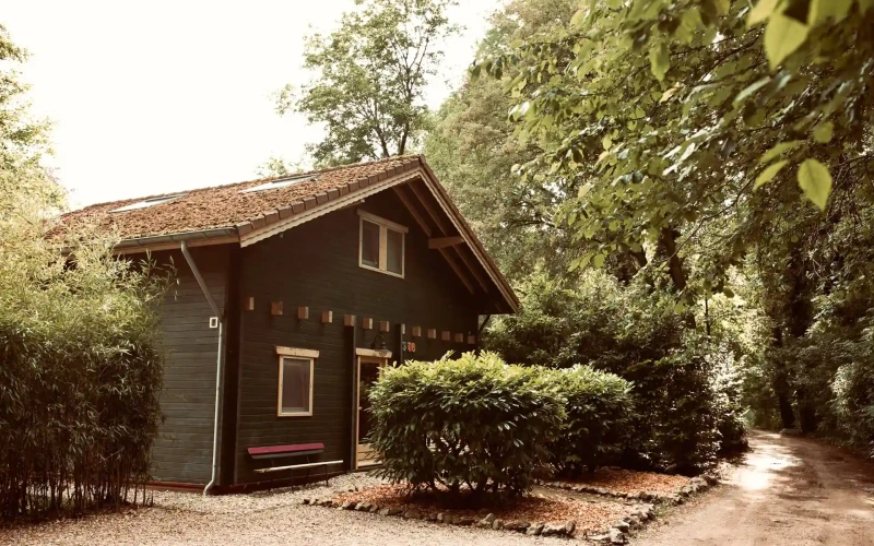 Bosschhuis – ruime bostuin met veel privacy, perfect omringd door groen en rust. Ideaal voor een ontspannen verblijf in de Achterhoek.